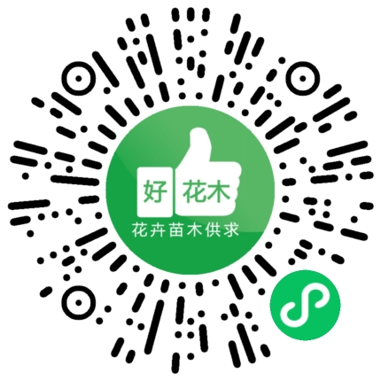 好花木小程序码